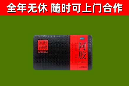宁武县回收阿胶